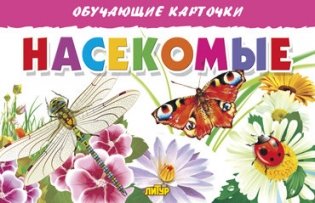 Насекомые. Обучающие карточки фото книги