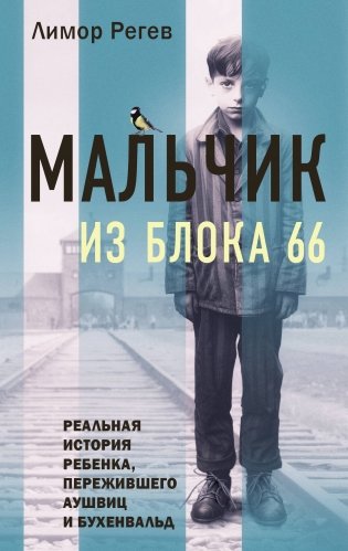 Мальчик из Блока 66. Реальная история ребенка, пережившего Аушвиц и Бухенвальд фото книги