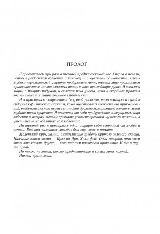 Стрекоза в янтаре фото книги 10