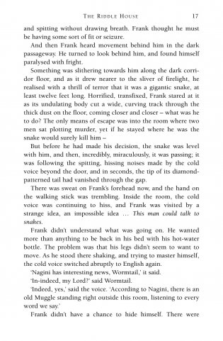 Harry Potter and the Goblet of Fire фото книги 12