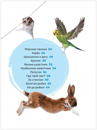 Домашние питомцы. Первая энциклопедия малыша фото книги 3