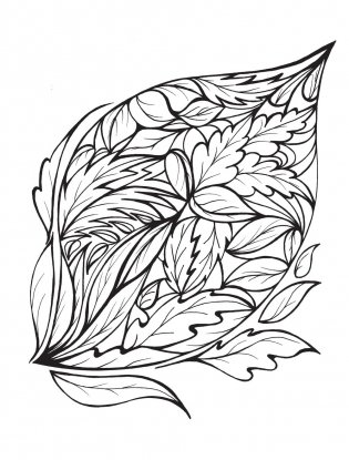 Creative Haven Calm Coloring Book фото книги 3