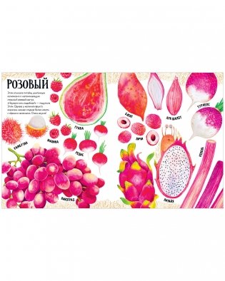 Приключения улитки Элли в мире фруктов и овощей (мягкая обложка) фото книги 10