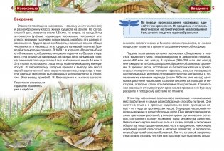 Насекомые фото книги 3