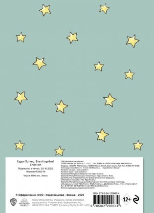 Комплект. Набор по Гарри Поттеру. Драко Малфой (блокнот+ ежедневник + значки) фото книги 3