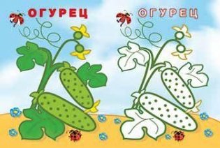 Пчелка и тыква фото книги 2