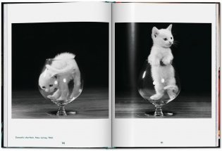 Walter Chandoha. Cats. Photographs 1942-2018 фото книги 6