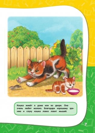 Годовой курс занятий. Все необходимое в одной книге. Для детей 1-2 лет фото книги 8