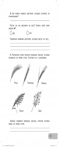 Окружающий мир. Изучаем природу родного края. 3 класс. Тетрадь для внеурочной деятельности. ФГОС фото книги 2