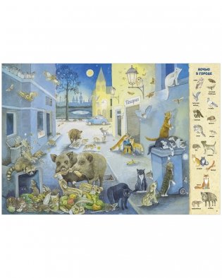 Найди и покажи. 1000 животных фото книги 11