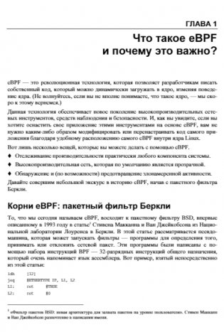 Изучаем eBPF: программирование ядра Linux для улучшения безопасности, сетевых функций и наблюдаемости фото книги 16