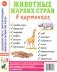 Животные жарких стран в картинках. Наглядное пособие для педагогов, логопедов, воспитателей и родителей фото книги маленькое 2