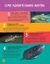 Акулы. Иллюстрированная энциклопедия фото книги маленькое 5