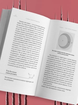 Кошачий закон и порядок. Как найти общий язык с кошкой и не стать жертвой ее капризов фото книги 3