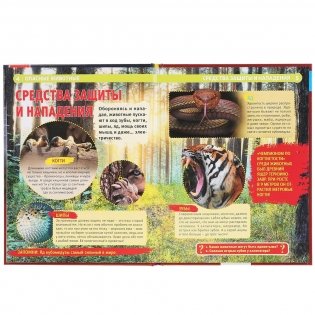 Опасные животные фото книги 2