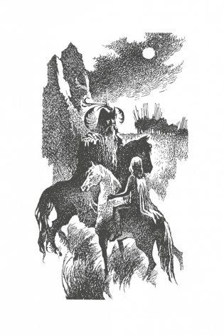 Я Пилигрим фото книги 3