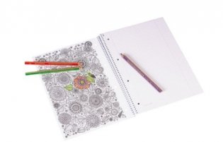Тетрадь на пружине "Колледж. ZENart", А4, 80 листов, 90 г/м2, клетка фото книги 2