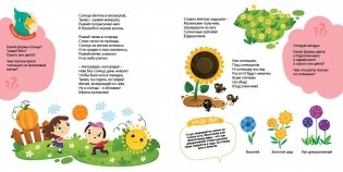 Про цветы, цвета и формы фото книги 3