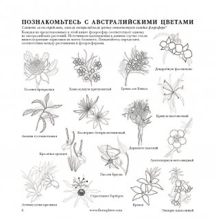 Флоросфера. Вдохновение фото книги 19