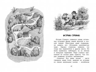 Изюмка и гном фото книги 7