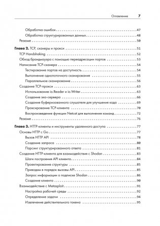Black Hat Go: Программирование для хакеров и пентестеров фото книги 3