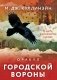 Оракул городской вороны (54 карты и руководство в коробке) фото книги маленькое 2