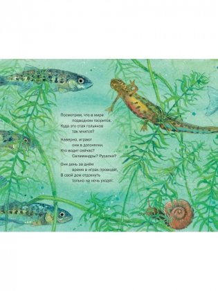 Окунёмся в мир русалок фото книги 3