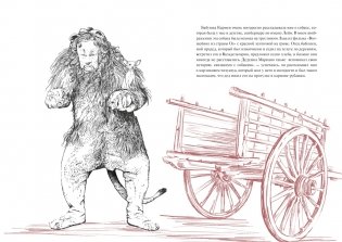 История кота, изменившего одну жизнь. Признание в любви фото книги 4