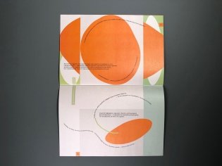 Странная оранжевая косточка фото книги 7