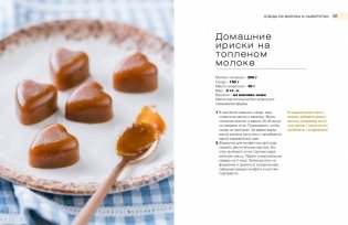 Вокруг хлеба и сыра. Домашний творог, мацони, рикотта, брынза и сырники в компании с пряной сдобой, питой и лепешками фото книги 8