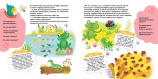 Маленькие чудеса большого мира фото книги 5