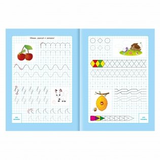 Прописи с наклейками. Готовим руку к письму. ФГОС ДО фото книги 3
