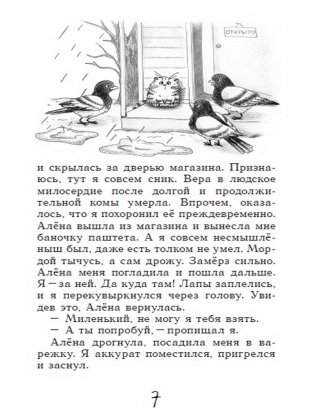 Блог кото-сапиенса фото книги 4