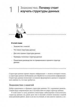 Грокаем структуры данных фото книги 6