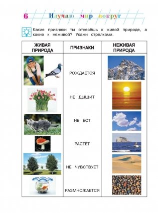 Изучаю мир вокруг. Для детей 6-7 лет. Часть 1 фото книги 7