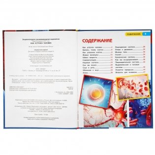 Как устроен человек. Энциклопедия с развивающими заданиями фото книги 2