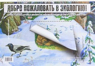 Добро пожаловать в экологию. Серия демонстрационных картин для занятий с детьми 4-5 лет фото книги