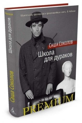 Школа для дураков фото книги 2