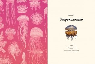 Океанариум фото книги 3