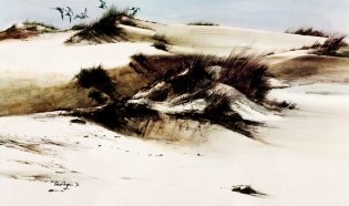 Штормик и мистер Персиваль фото книги 4