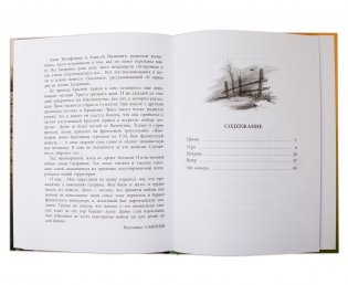 Землянка фото книги 6