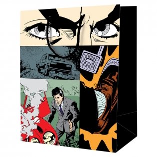 Пакет подарочный 33х42х12 см ArtSpace "Drive", ламинированный. Арт. L_46222 фото книги