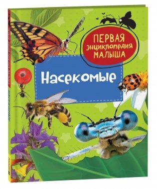 Насекомые. Первая энциклопедия малыша фото книги