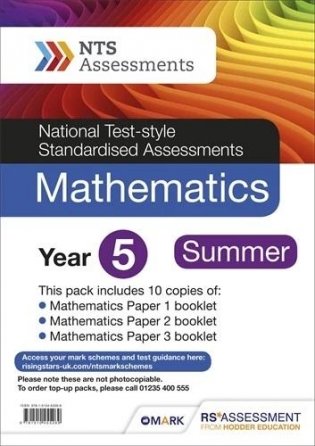 NTS Mathematics Year 5 Summer фото книги
