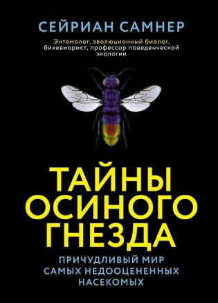 Тайны осиного гнезда. Причудливый мир самых недооцененных насекомых фото книги