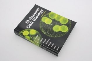 Molecular Cell Biology фото книги