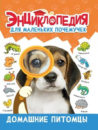 Энциклопедия для маленьких почемучек. Домашние питомцы фото книги