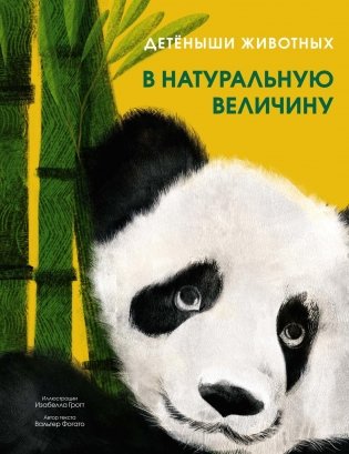 Детёныши животных в натуральную величину фото книги