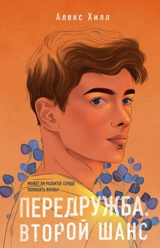 Передружба. Второй шанс фото книги