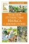 Чудесное путешествие Нильса с дикими гусями фото книги маленькое 2